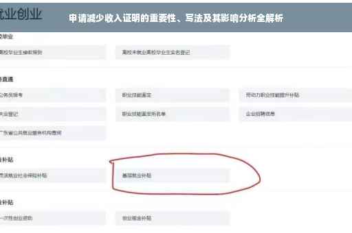 申请减少收入证明的重要性、写法及其影响分析全解析