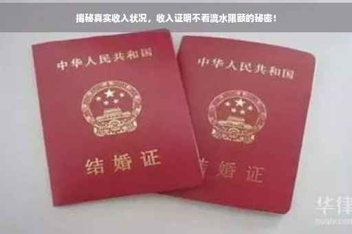 揭秘真实收入状况，收入证明不看流水限额的秘密！