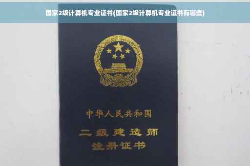 国家2级计算机专业证书(国家2级计算机专业证书有哪些)