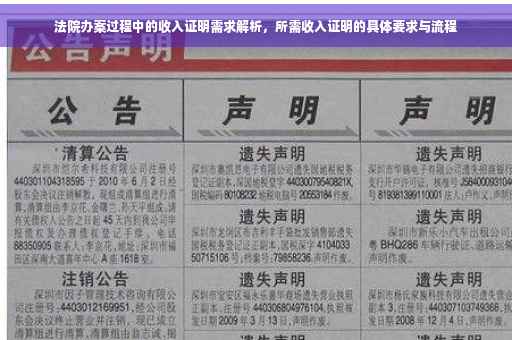 法院办案过程中的收入证明需求解析，所需收入证明的具体要求与流程
