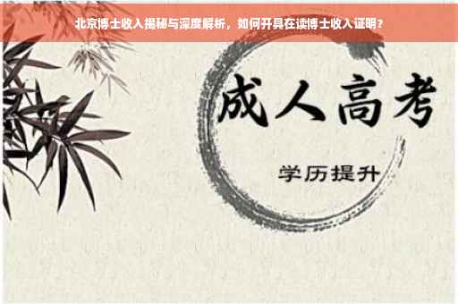 北京博士收入揭秘与深度解析，如何开具在读博士收入证明？