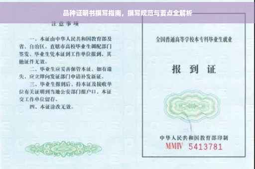 品种证明书撰写指南，撰写规范与要点全解析