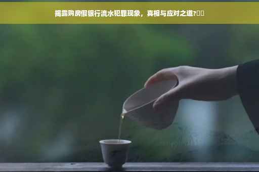 揭露购房假银行流水犯罪现象，真相与应对之道?⚡️