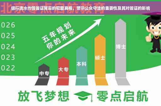 银行流水作假签证背后的犯罪真相，警示公众守法的重要性及其对签证的影响