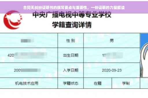 合同无纠纷证明书的撰写要点与重要性，一份证明的力量解读