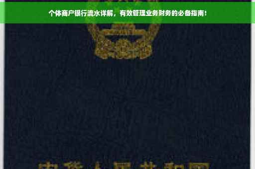 个体商户银行流水详解，有效管理业务财务的必备指南！