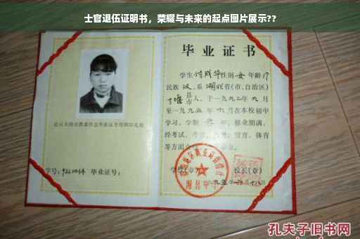 士官退伍证明书，荣耀与未来的起点图片展示??