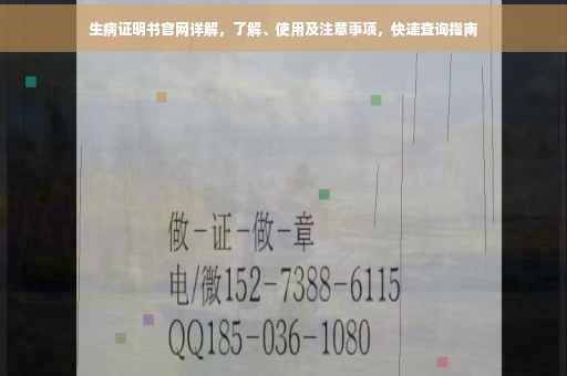生病证明书官网详解，了解、使用及注意事项，快速查询指南