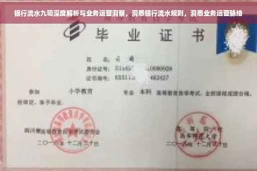 银行流水九司深度解析与业务运营洞察，洞悉银行流水规则，洞悉业务运营脉络
