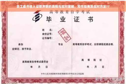 员工虚开收入证明声明的真相与应对策略，写作指南及应对方法??