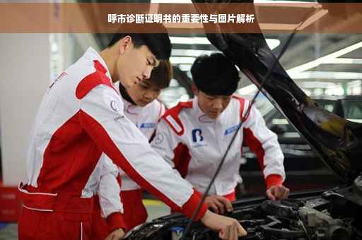 呼市诊断证明书的重要性与图片解析
