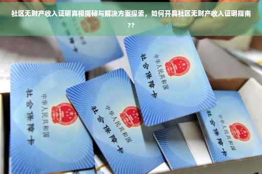 社区无财产收入证明真相揭秘与解决方案探索，如何开具社区无财产收入证明指南??