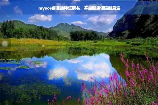mysos疫苗接种证明书，开启健康保障新篇章