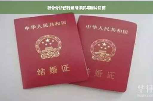 锁骨骨折伤残证明详解与图片指南