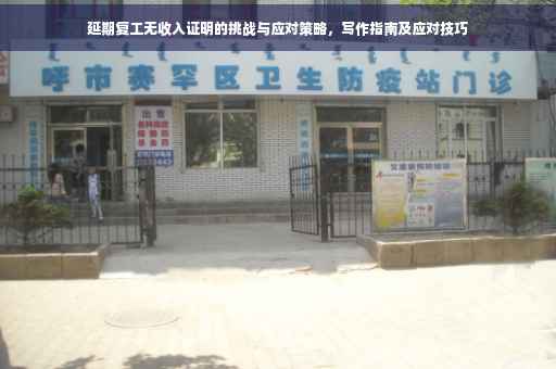 延期复工无收入证明的挑战与应对策略，写作指南及应对技巧