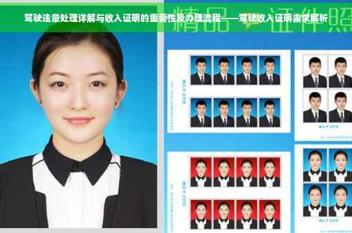 驾驶违章处理详解与收入证明的重要性及办理流程——驾驶收入证明需求解析