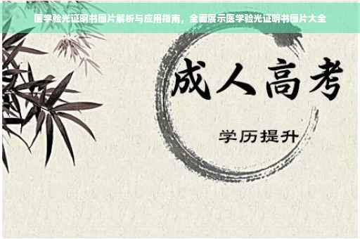 医学验光证明书图片解析与应用指南，全面展示医学验光证明书图片大全