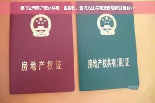 银行公司账户流水详解，重要性、查询方法与有效管理策略揭秘??