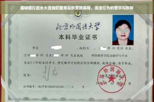 揭秘银行流水大洗钱犯罪背后的黑暗真相，违法行为的警示与剖析