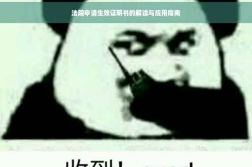 法院申请生效证明书的解读与应用指南