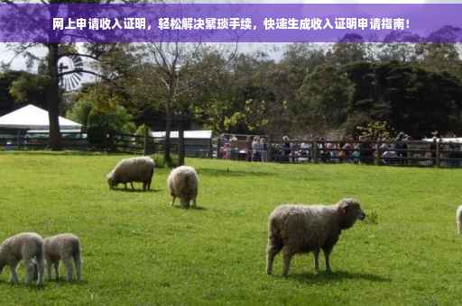 网上申请收入证明，轻松解决繁琐手续，快速生成收入证明申请指南！