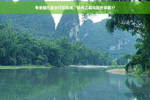 专业银行流水打印指南，软件工具与操作详解??