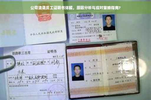 公司清退员工证明书详解，原因分析与应对策略指南?