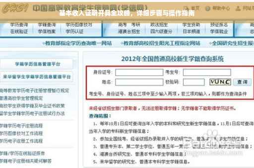 基本收入证明开具全攻略，详细步骤与操作指南