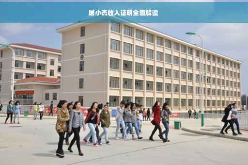 屠小杰收入证明全面解读