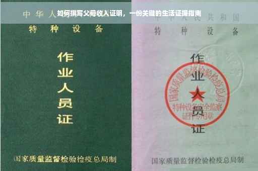 如何撰写父母收入证明，一份关键的生活证据指南