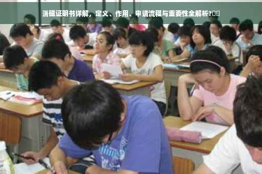消磁证明书详解，定义、作用、申请流程与重要性全解析?⚡️