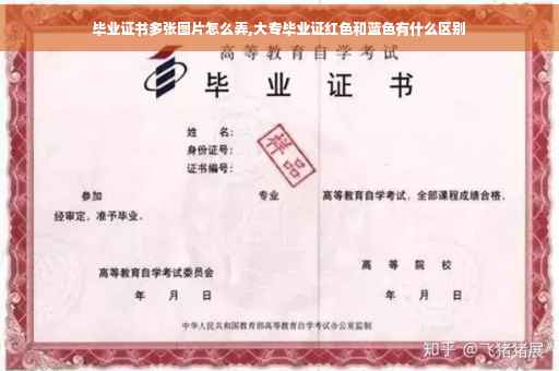 毕业证书多张图片怎么弄,大专毕业证红色和蓝色有什么区别
