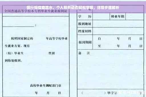 银行短信查流水，个人账务动态轻松掌握，详细步骤解析