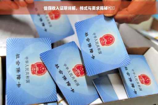 低保收入证明详解，格式与要求揭秘?⚡️