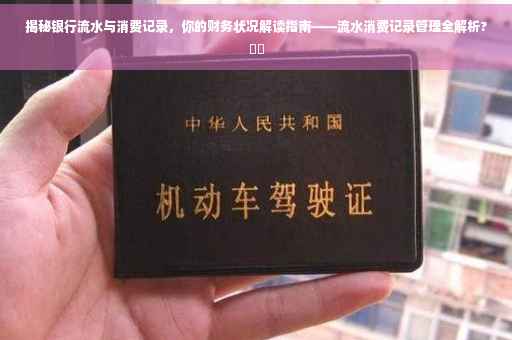揭秘银行流水与消费记录，你的财务状况解读指南——流水消费记录管理全解析?⚡️