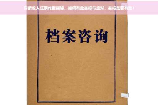 购房收入证明作假揭秘，如何有效举报与应对，举报是否有效？