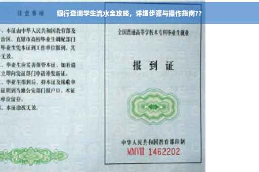 银行查询学生流水全攻略，详细步骤与操作指南??