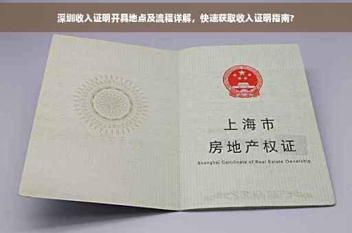 深圳收入证明开具地点及流程详解，快速获取收入证明指南?