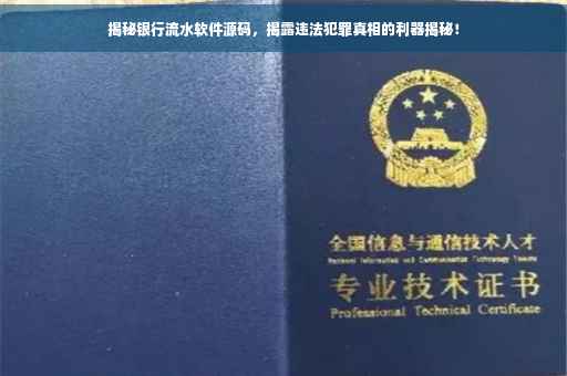 揭秘银行流水软件源码，揭露违法犯罪真相的利器揭秘！