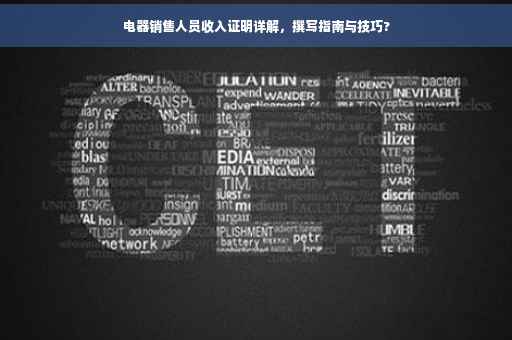 电器销售人员收入证明详解，撰写指南与技巧?