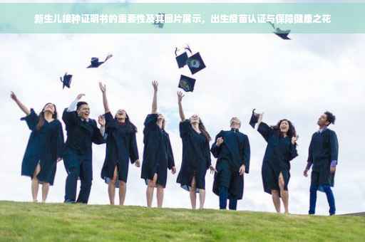 新生儿接种证明书的重要性及其图片展示，出生疫苗认证与保障健康之花