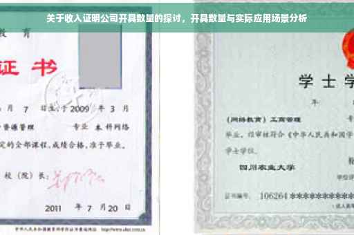 关于收入证明公司开具数量的探讨，开具数量与实际应用场景分析