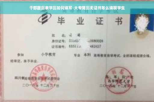 干部履历表学历如何填写-大专简历无证书怎么填啊学生