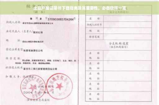 土豆产量证明书下载指南及其重要性，必备软件一览