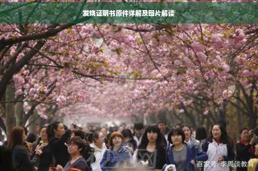 发烧证明书原件详解及图片解读