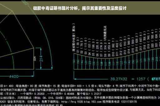 硅胶中毒证明书图片分析，揭示其重要性及深度探讨