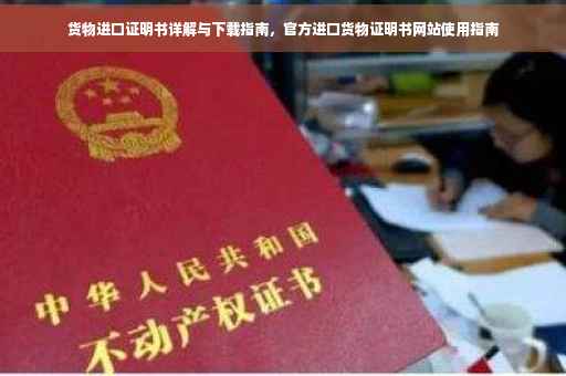 货物进口证明书详解与下载指南，官方进口货物证明书网站使用指南