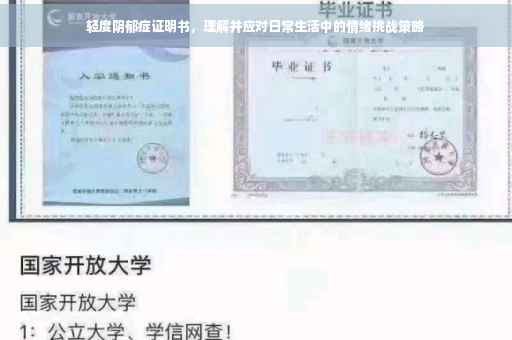 轻度阴郁症证明书，理解并应对日常生活中的情绪挑战策略