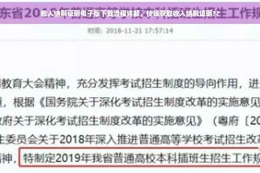 收入纳税证明电子版下载流程详解，快速获取收入纳税证明??