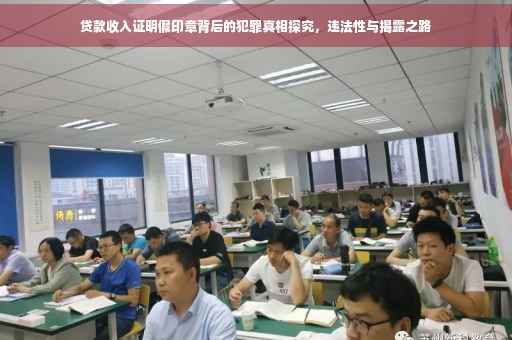 贷款收入证明假印章背后的犯罪真相探究，违法性与揭露之路
